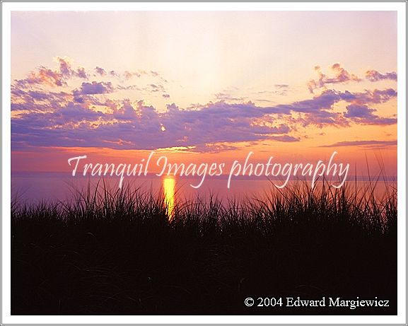 450268---Sunset through dune grass at Sleeping Bear Dunes NP 